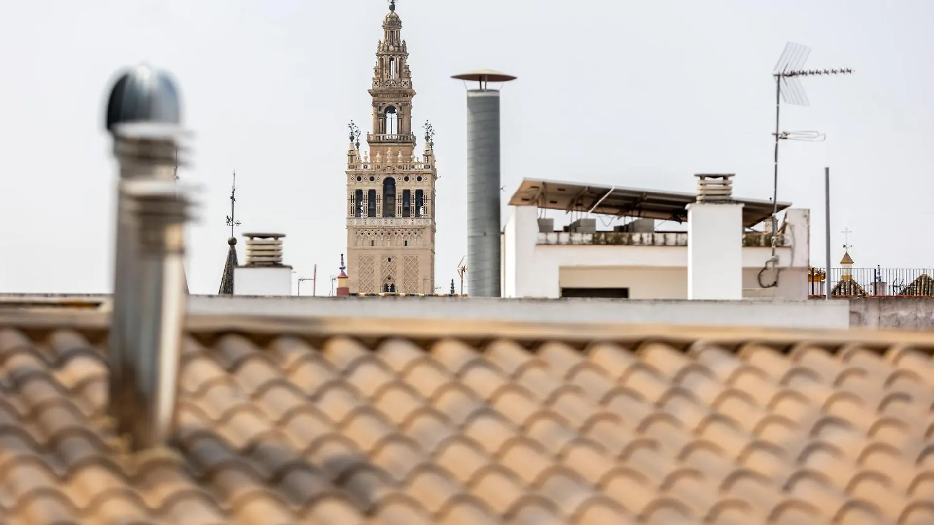 Wonderful Apartments In Seville Oldtown