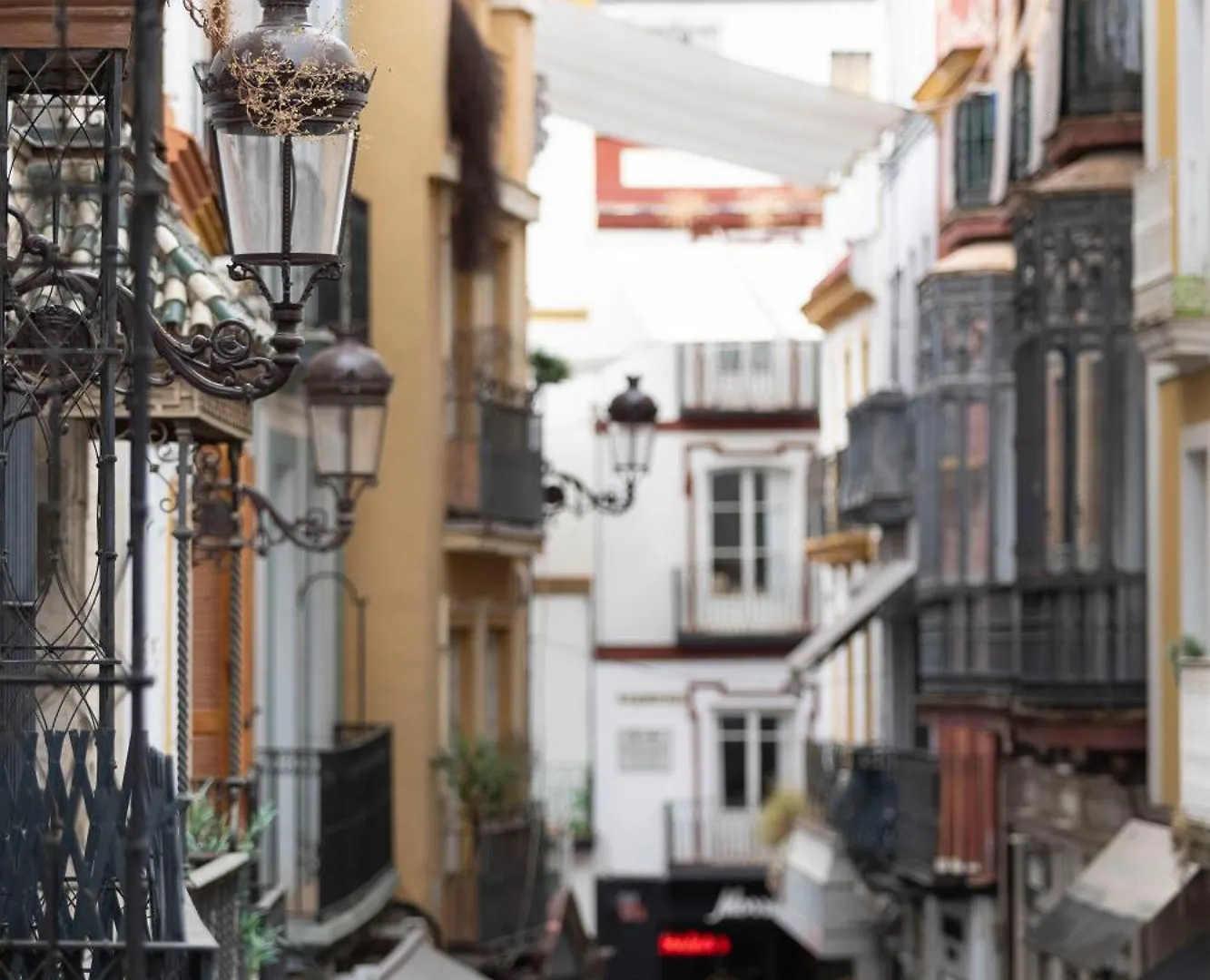 Wonderful Apartments In Seville Oldtown